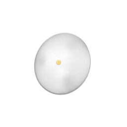 Centro Designer Glass Simple Flush Ceiling Light Polished Gold, 2x E14