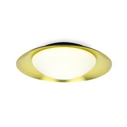 Side Led Black / Gold Ceiling Lamp 20W