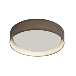 Gianna Integrated LED 1 Light Flush Ceiling Light White, Grey - thumbnail 2