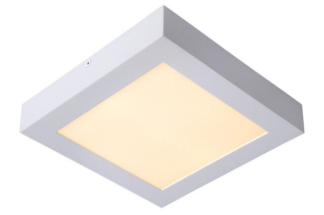 Brice-Led Modern Flush Ceiling Light Bathroom - LED Dim. - 1x20W 3000K - IP44 - White - image 1
