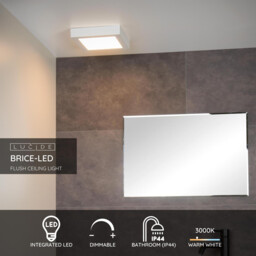 Brice-Led Modern Flush Ceiling Light Bathroom - LED Dim. - 1x20W 3000K - IP44 - White - thumbnail 2