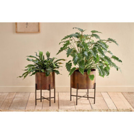 Nkuku Juoni Iron Planter - Vases & Planters - Aged Antique - Large