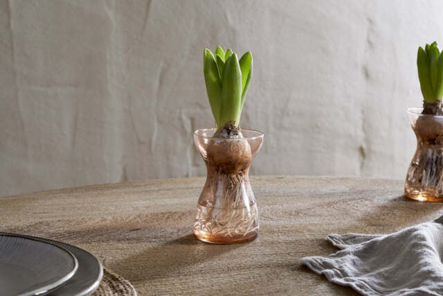 nkuku Enir Hyacinth Vase - Decorative Accessories - One Size - Dusty Terracotta
