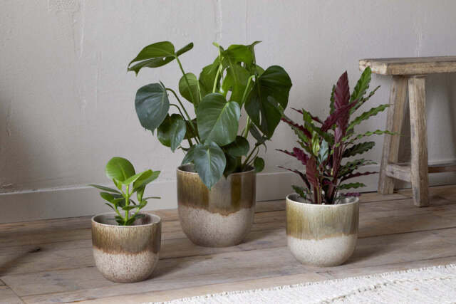 nkuku Almeida Reactive Glaze Plant Pot - Vases & Planters - Small - Olive & Natural