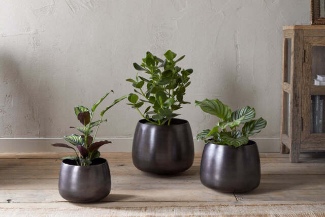 nkuku Maliki Plant Pot - Vases & Planters - Large - Aged Bronze
