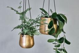 nkuku Atsu Brass Hanging Planter - Vases & Planters - Large - Antique Brass