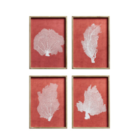 OKA, Set of Four Skeleton Coral Prints - Red/White, Wall Prints, Wood, Botanical