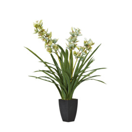 OKA, Faux Cymbidium Orchid With Narrow Vase - Green, Artificial Plants, Glass