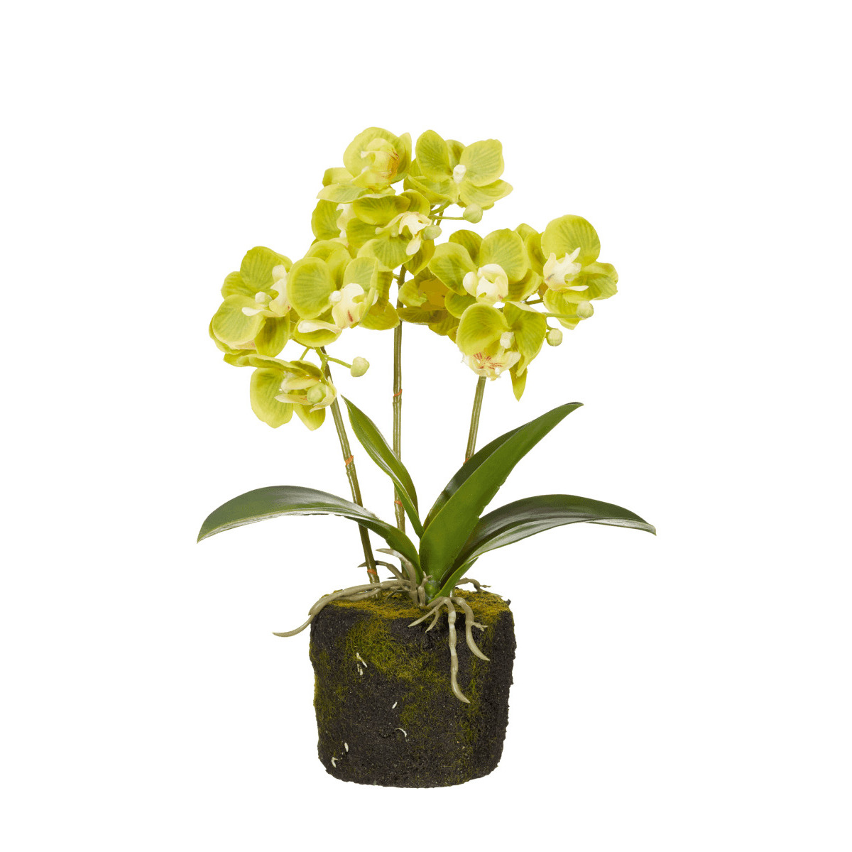 OKA, Faux Planted Mini Orchid - Green, Artificial Plants, Fabric/Plastic