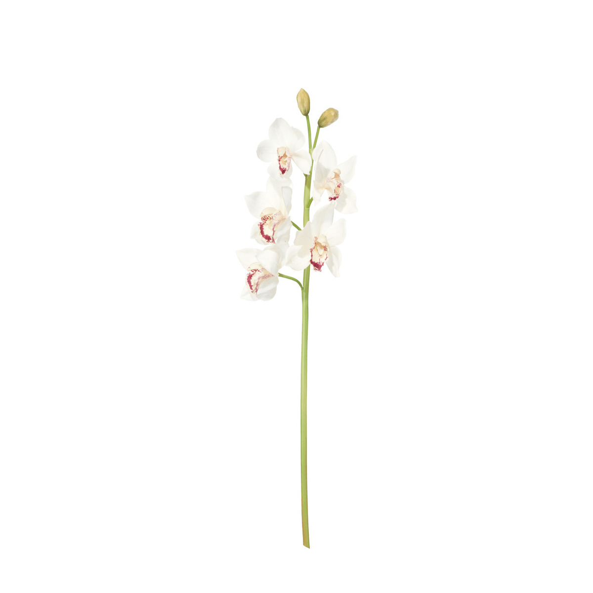OKA, Faux Cymbidium Orchid Stem - White, Floral Stems, Fabric/Plastic
