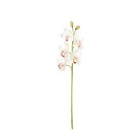 OKA, Faux Cymbidium Orchid Stem - White, Floral Stems, Fabric/Plastic