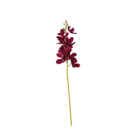 OKA, Faux Phalaenopsis Orchid - Purple, Artificial Plants, Fabric/Plastic
