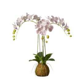 OKA, Small Faux Planted Phalaenopsis Gigantea Orchid- Purple, Artificial Plants, Fabric/Plastic
