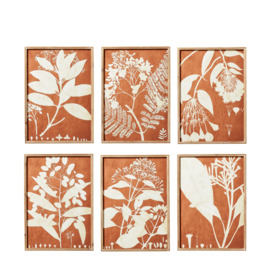 OKA, Set of Six Flora Photogram Framed Prints - Orange, Wall Prints, Glass/Wood
