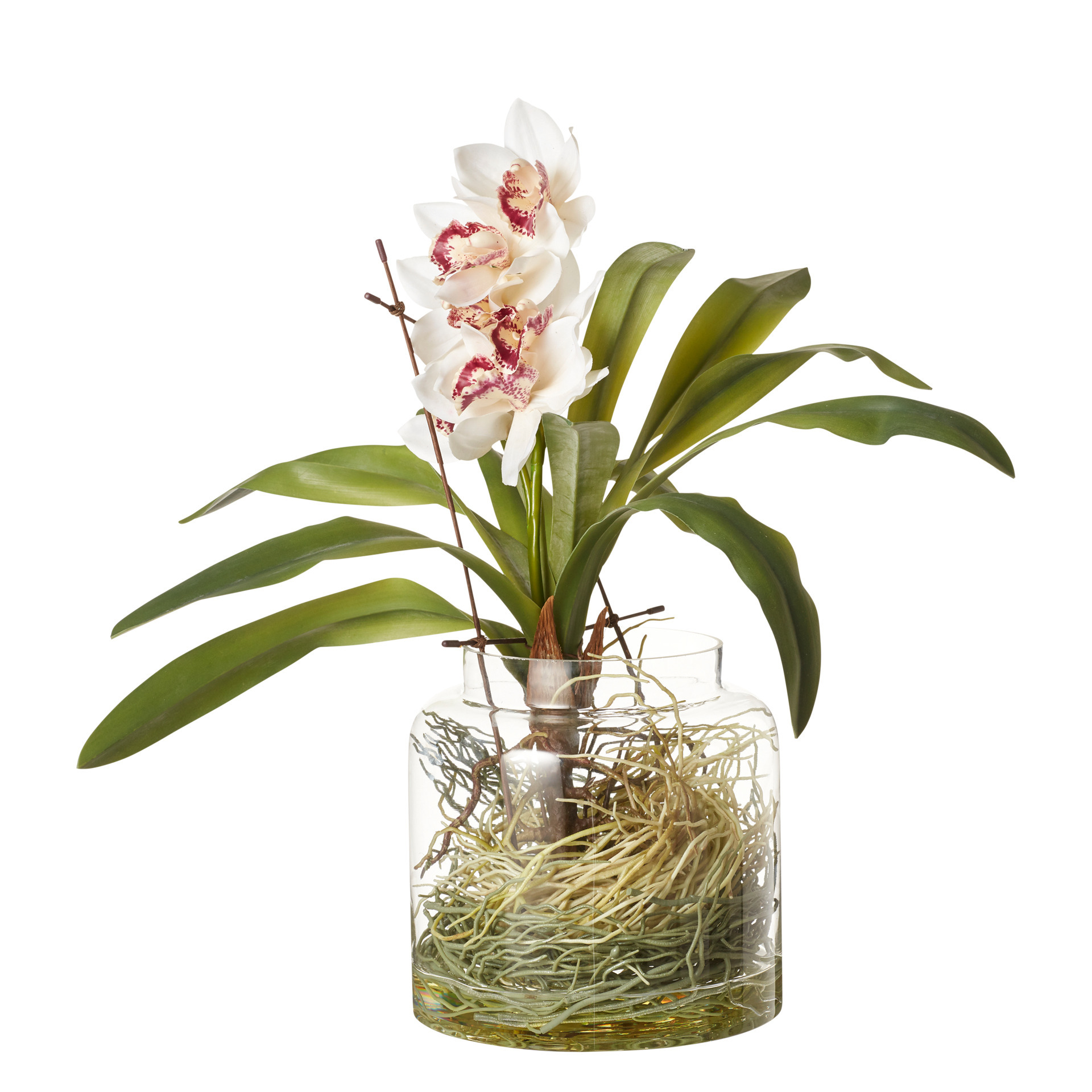 Faux Cymbidium Orchids with Vase - Cream