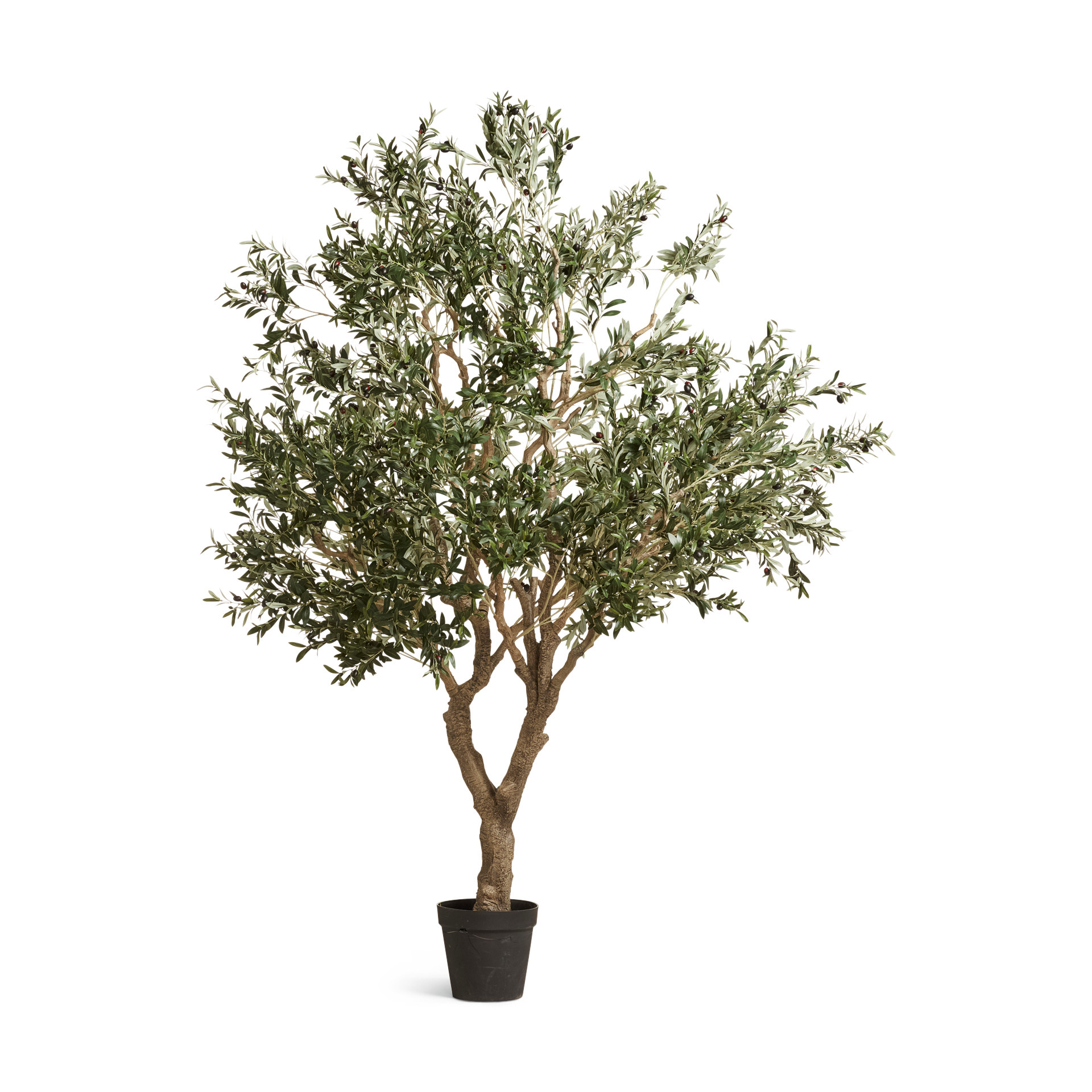 Faux Potted Olive Tree, Extra Large - Black Black by OKA