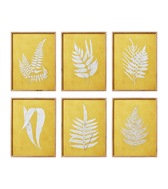 OKA, Set of Six Fern Framed Prints - Ochre, Wall Prints, Glass/Wood