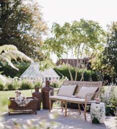 OKA, Tofinho Dining Bench - Driftwood, Garden Seating - thumbnail 2