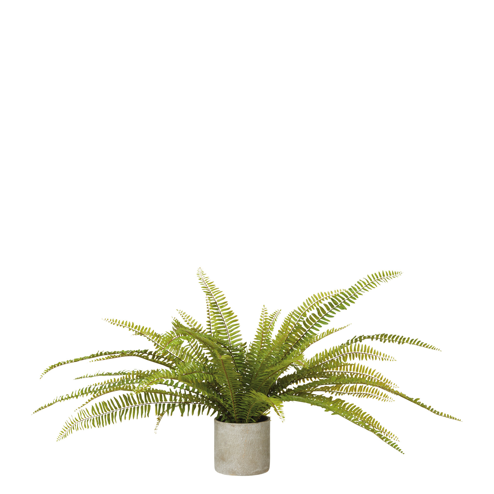 Faux Potted Fern Plant - Green