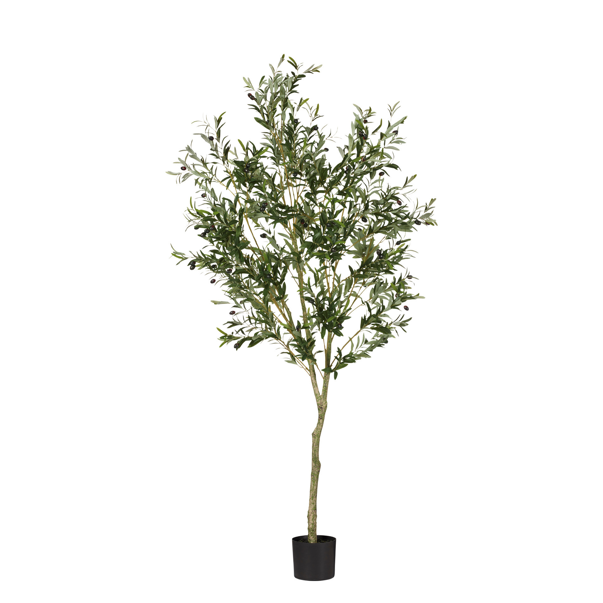 Faux Large Potted Olive Tree - Black