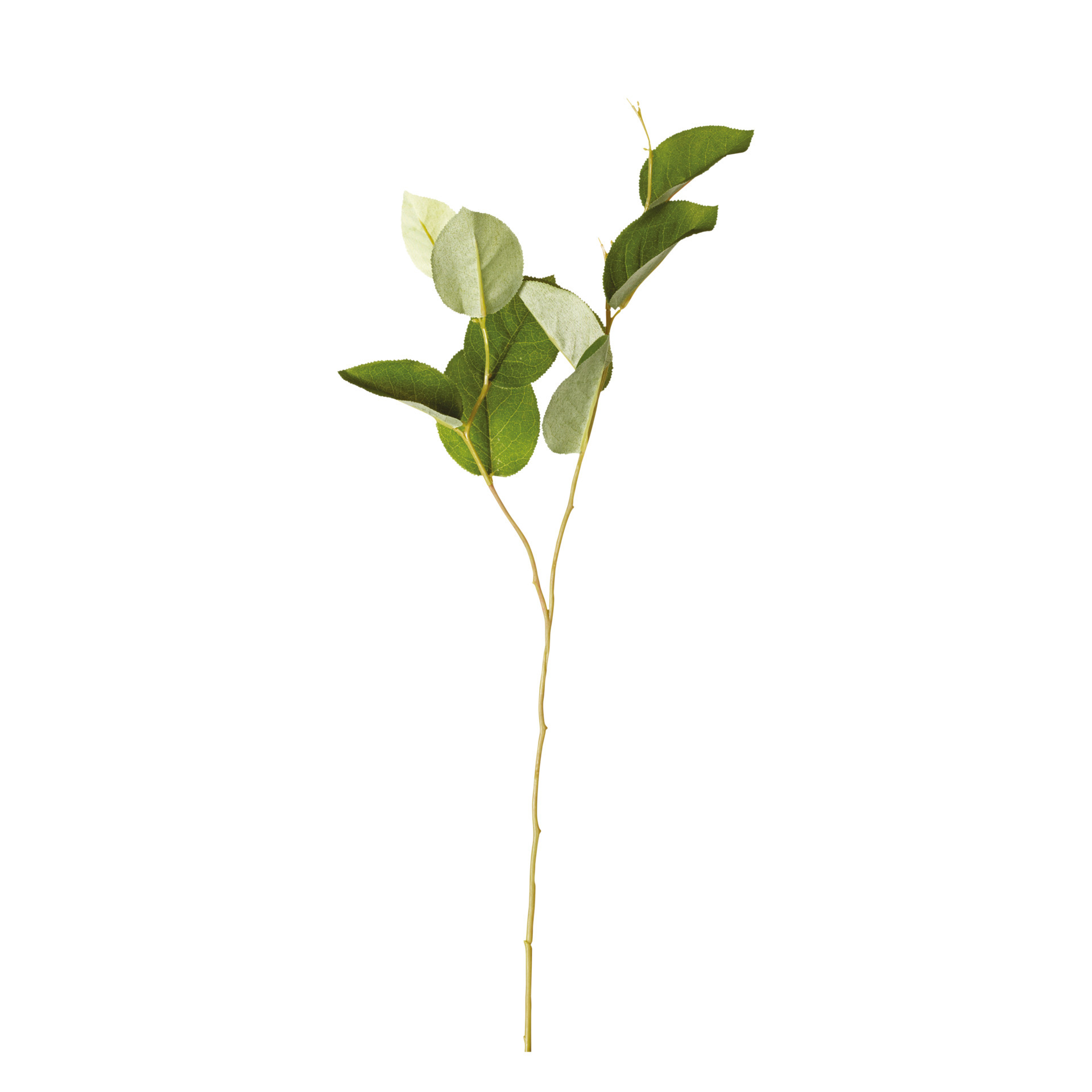 Faux Large-Leaved Stem - Green
