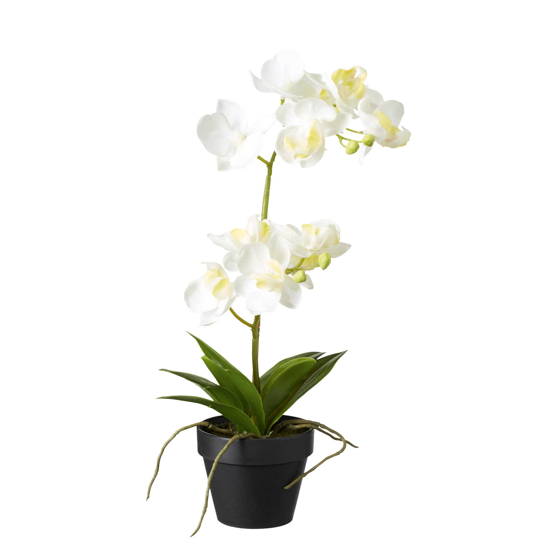 Faux Potted Mini Orchid - White