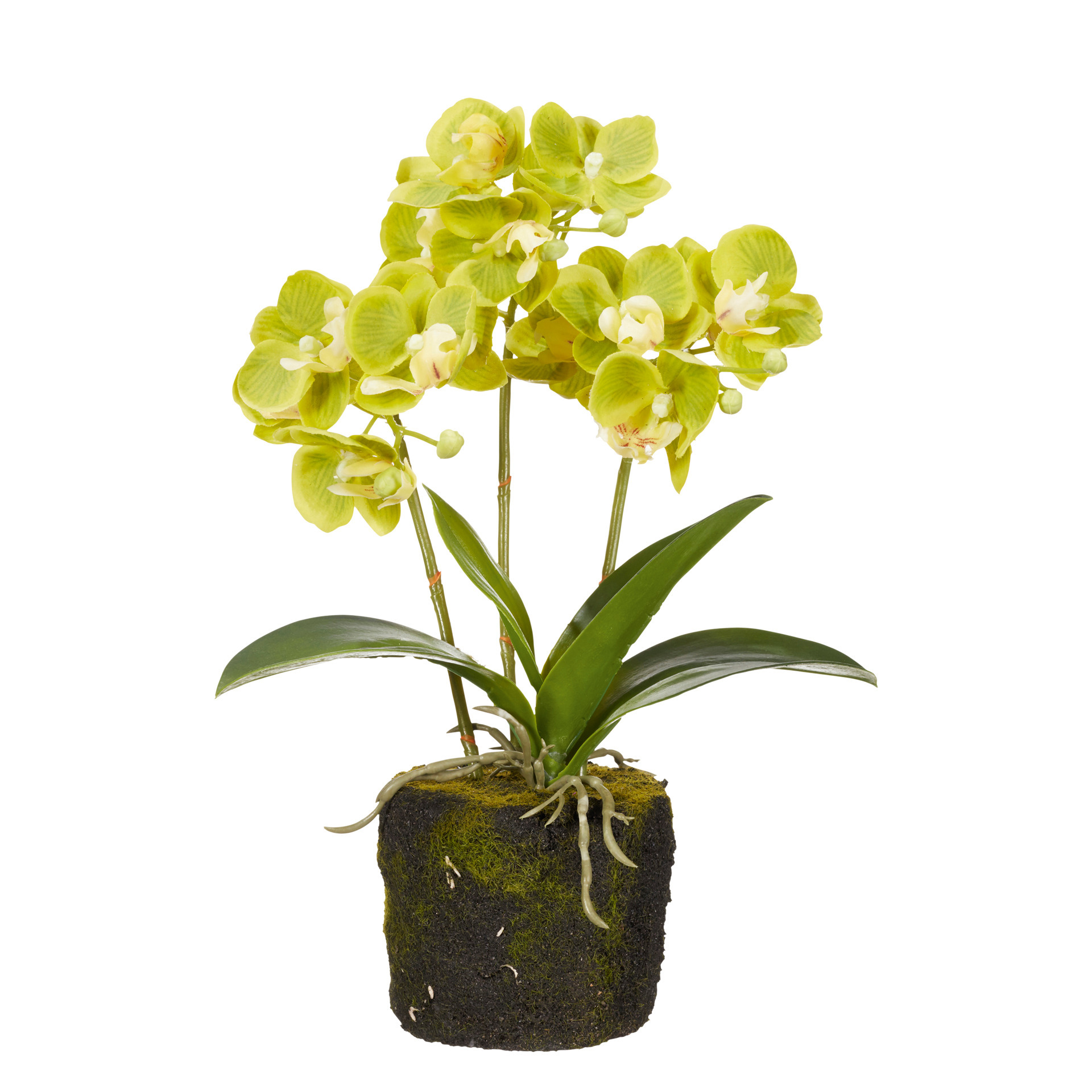 Faux Planted Mini Orchid - Green