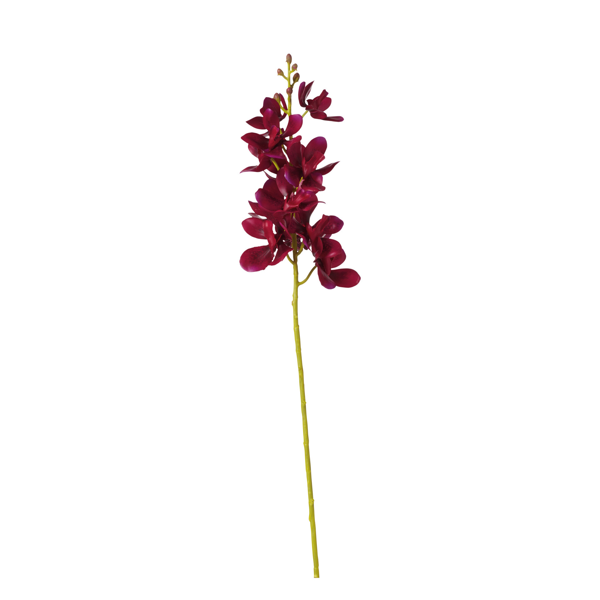 Faux Phalaenopsis Orchid - Purple