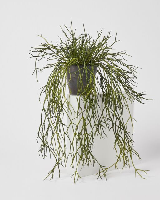Hanging Grass Artificial Plant
