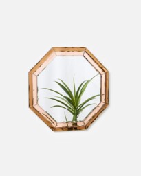Luna Pink & Brown Octagonal Mirror