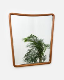 Mateu Mango Wood Wall Mirror