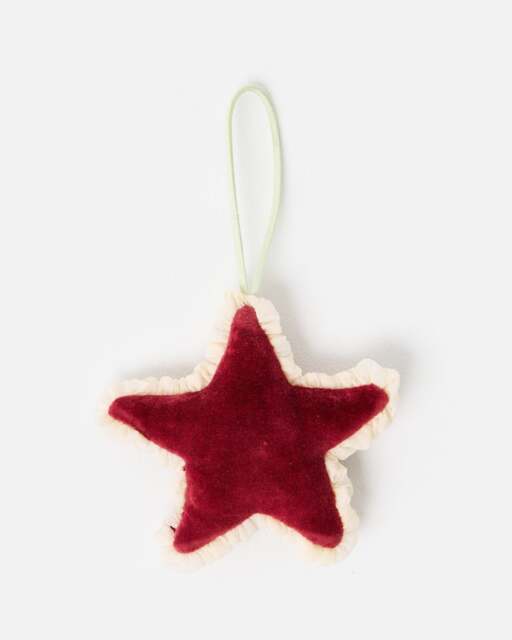 Issey Burgundy Star Christmas Tree Decoration