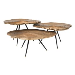 Eichholtz Set of 3 Quercus Coffee Table Brass Finish - thumbnail 1