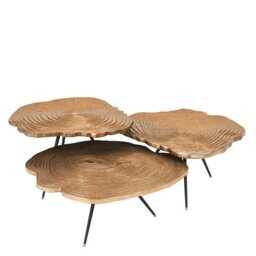 Eichholtz Set of 3 Quercus Coffee Table Brass Finish - thumbnail 2
