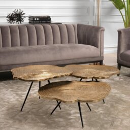 Eichholtz Set of 3 Quercus Coffee Table Brass Finish - thumbnail 4