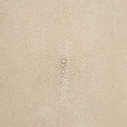 Braden Coffee Table - Ivory - thumbnail 4