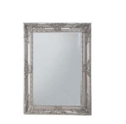 Hampshire Rectangle Mirror - Silver