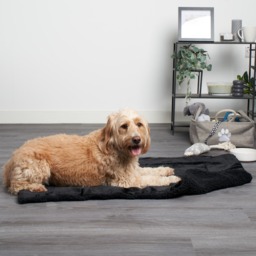 OHS Sherpa Soft Quilted Pet Blanket - Black - thumbnail 2