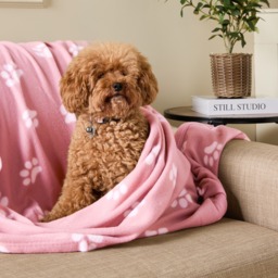 OHS Pet Paw Print Fleece Throw - Blush - thumbnail 2
