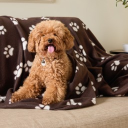 OHS Pet Paw Print Fleece Throw - Brown - thumbnail 2