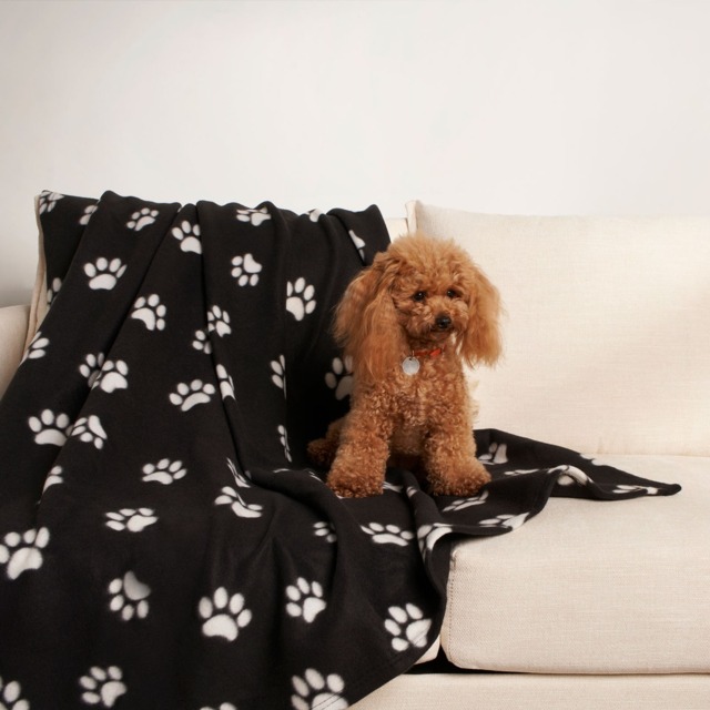 OHS Pet Paw Print Fleece Throw - Black - image 1