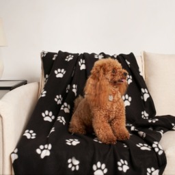OHS Pet Paw Print Fleece Throw - Black - thumbnail 2