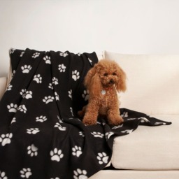 OHS Pet Paw Print Fleece Throw - Black - thumbnail 1