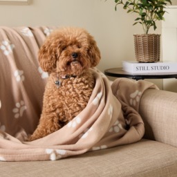 OHS Pet Paw Print Fleece Throw - Natural - thumbnail 2
