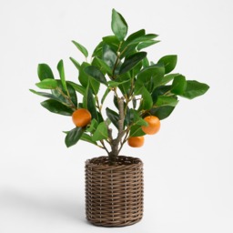 OHS Orange Tree in Basket - Green/Orange - thumbnail 4
