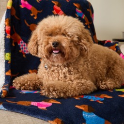 OHS Pet Sausage Dog Print Sherpa Reverse Throw - Navy - thumbnail 2