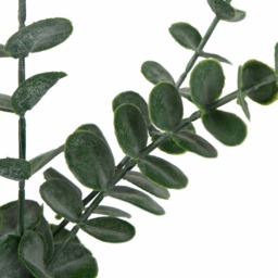 OHS Small Eucalyptus in Ceramic Vase - Natural - thumbnail 5