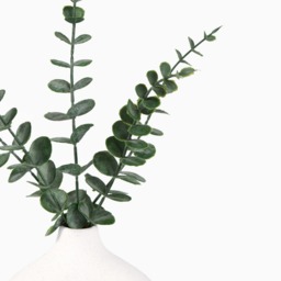 OHS Small Eucalyptus in Ceramic Vase - Natural - thumbnail 4