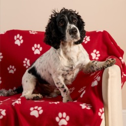 OHS Pet Paw Print Fleece Throw - Red - thumbnail 2