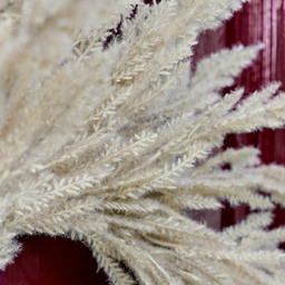 OHS Pampas Dried Grass Wreath, Cream - 55cm - thumbnail 3